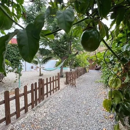 Finca La Tajea Santa Cruz de Tenerife Exterior photo